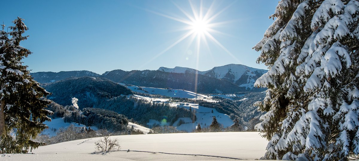 Traumhafter Wintertag in Oberstaufen mit Blick auf den Hochgrat
