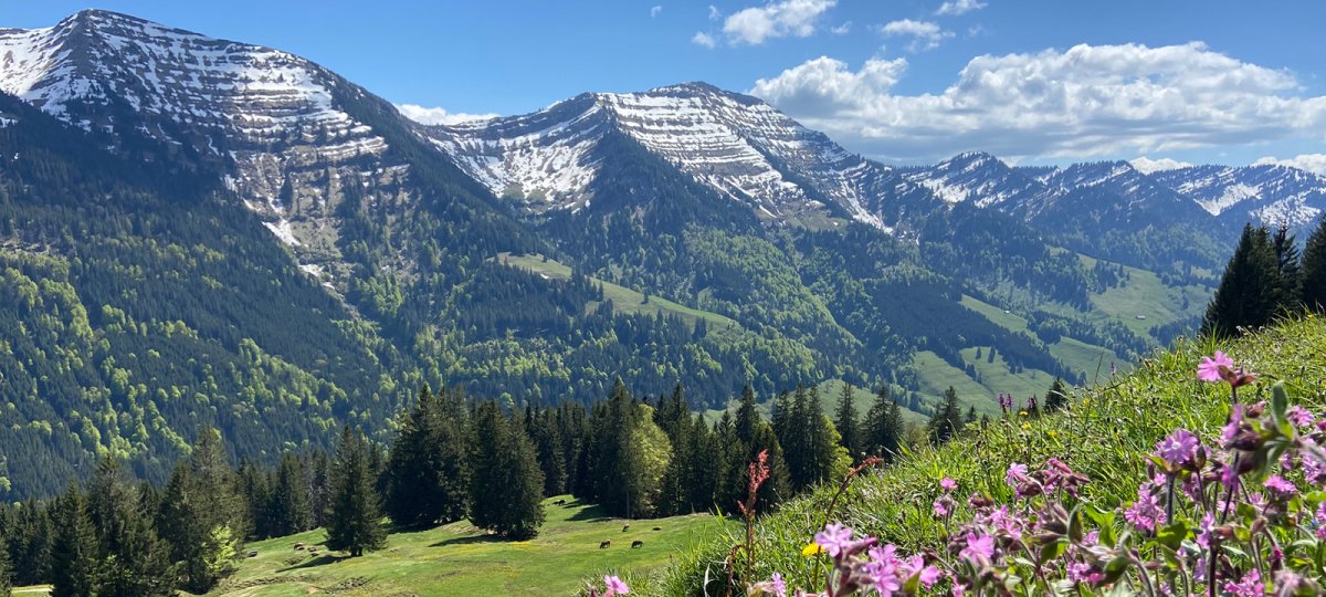 Blick auf die Nagelfluhkette