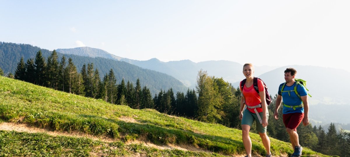 Wandern am Hündle bei Oberstaufen
