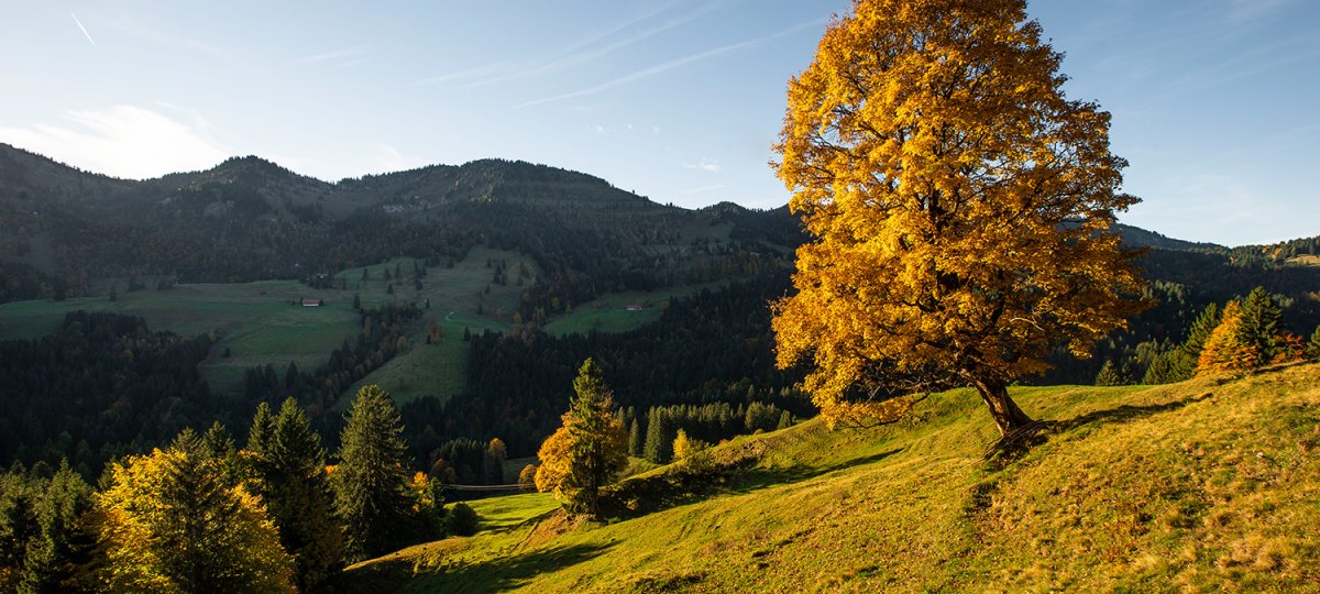 Sonnenaufgang in herbstlicher Natur