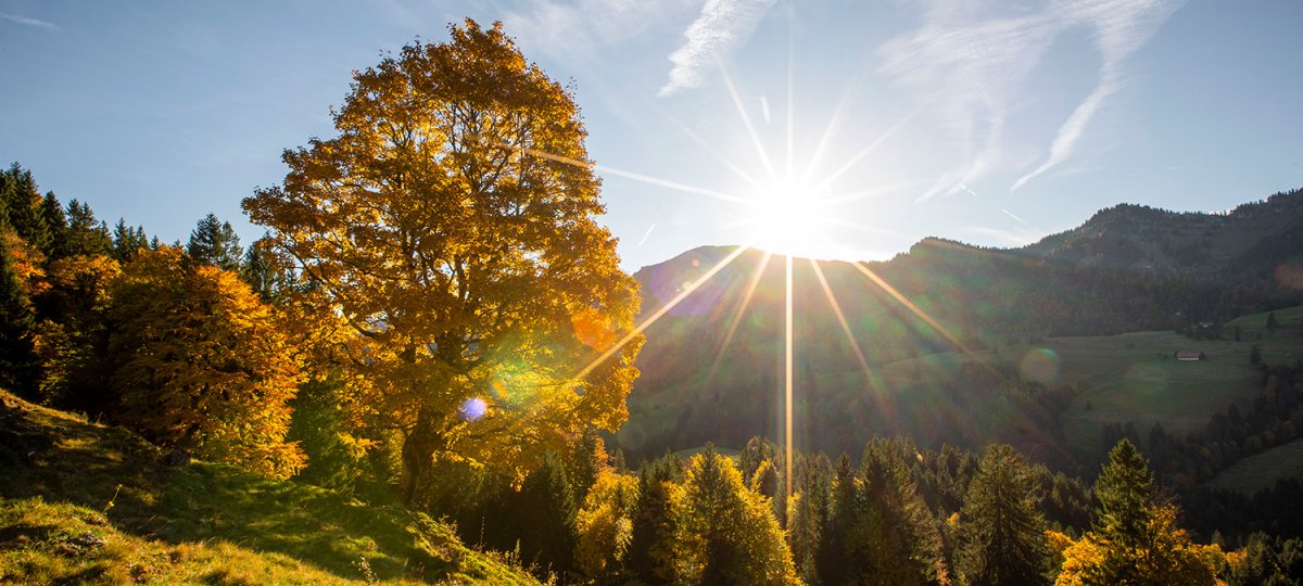 Sonnenaufgang im Herbst
