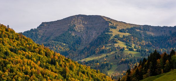 Herbst am Hochgrat