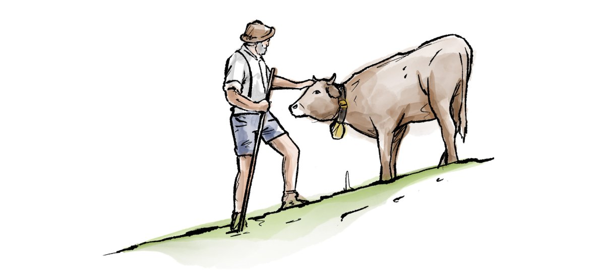 Hirte mit Braunvieh