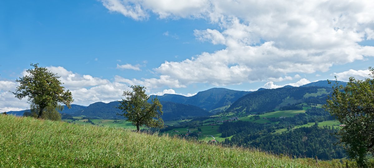 Die Nagelfluhkette bei Oberstaufen