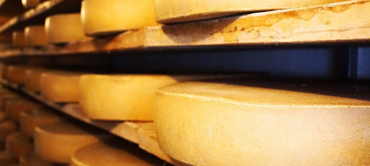 Käsekeller - hier lagert der Käse mehrere Monate