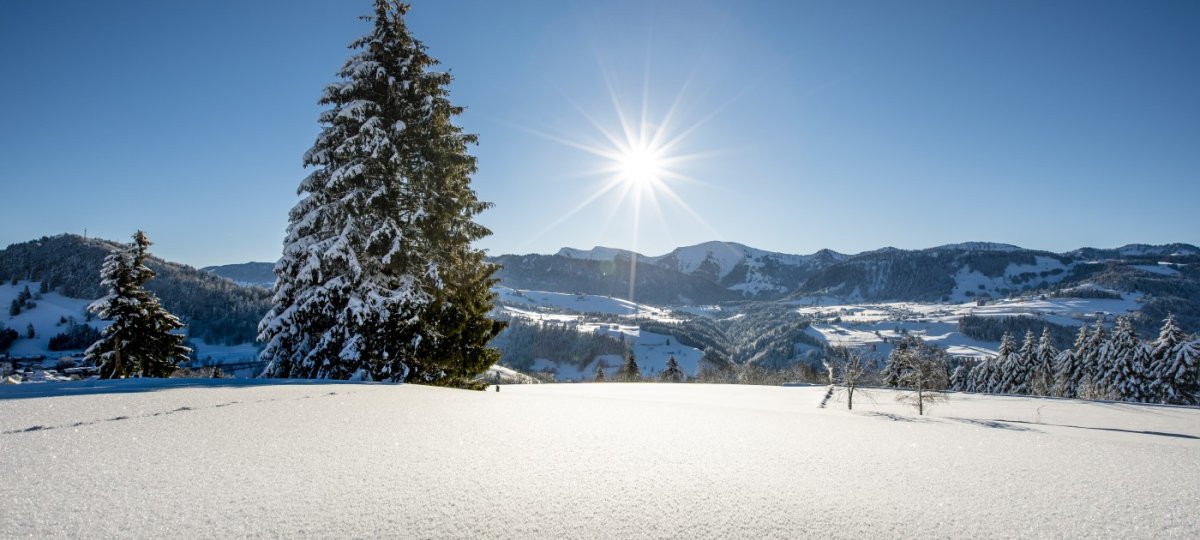 Winterlandschaft