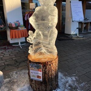 15 ROSI FROSCHKöNIG 2