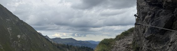 IMG 8548