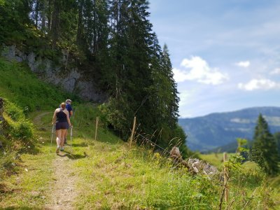 Stetig bergauf auf schönen wegen