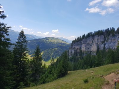 Der Abstieg ist flott und führt an tollen Felswänden vorbei