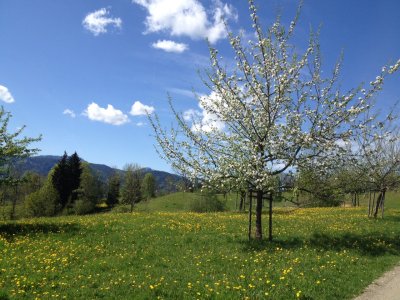 Der Frühling ist da!