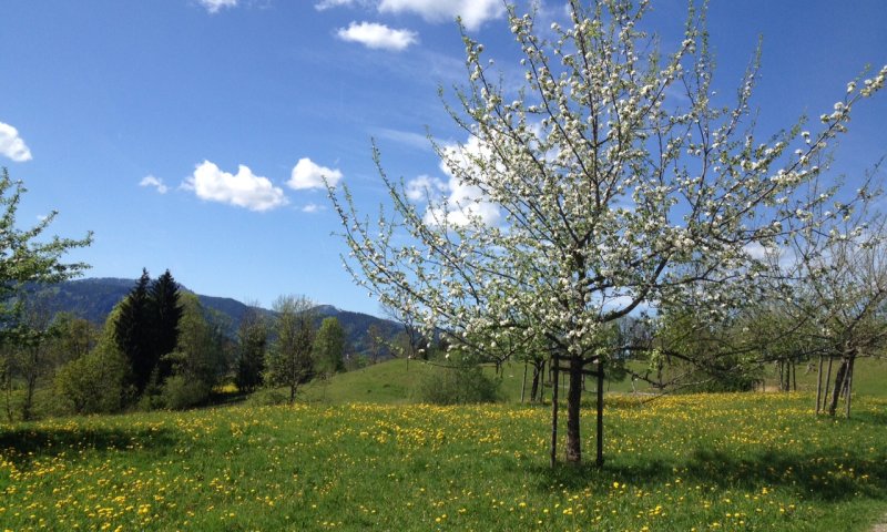 Der Frühling ist da!