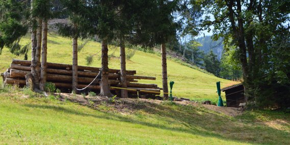 Siehst Du die Slackline oben?