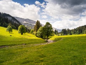 Blick auf das Gottesackerplatteau