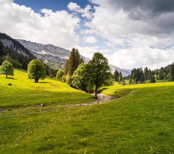 Blick auf das Gottesackerplatteau