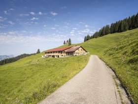 Die Piesenalpe