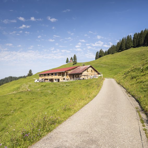 Die Piesenalpe
