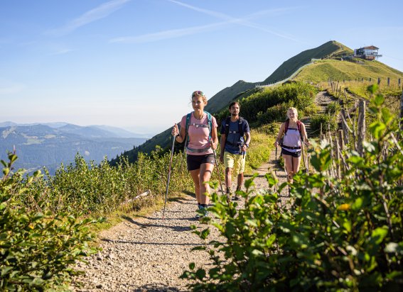 Auf dem Fellhorngrat