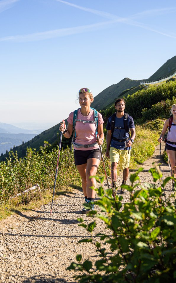 Auf dem Fellhorngrat
