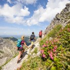 Wandern zwischen Alpenrosen