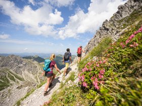 Wandern zwischen Alpenrosen