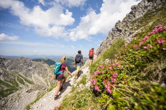 Wandern zwischen Alpenrosen