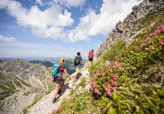 Wandern zwischen Alpenrosen