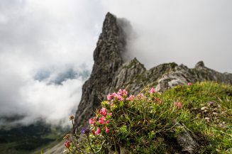 Felsnadel im Nebel