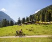 An der Buchrainer Alpe