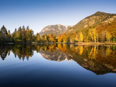 herbstlicher Moorweiher