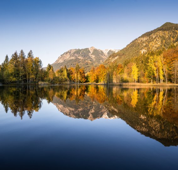 herbstlicher Moorweiher