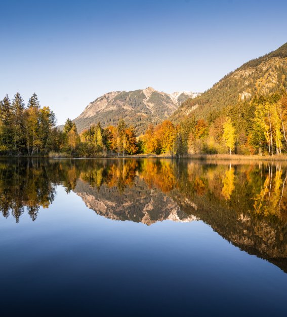 herbstlicher Moorweiher