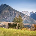 Blick vom herbstlichen Tiefenbach nach Oberstdorf.