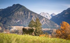 Blick vom herbstlichen Tiefenbach nach Oberstdorf.