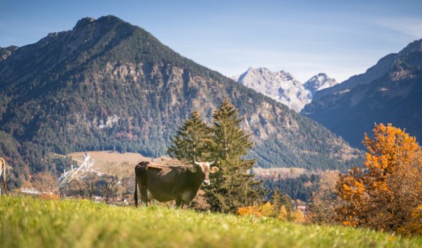 Blick vom herbstlichen Tiefenbach nach Oberstdorf.