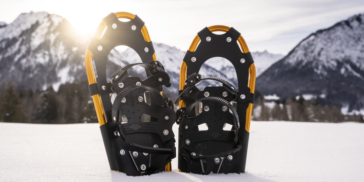 Ein Paar Schneeschuhe