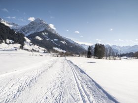 Langlaufen in den Ortsteilen