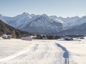 Langlaufen in den Dörfle