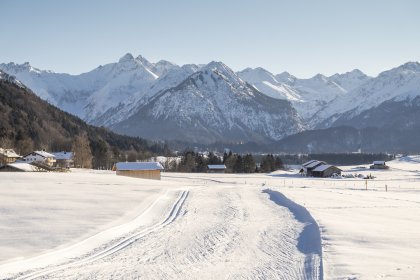 Langlaufen in den Dörfle