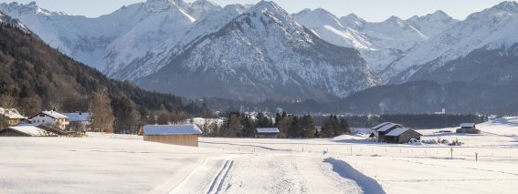 Langlaufen in den Dörfle