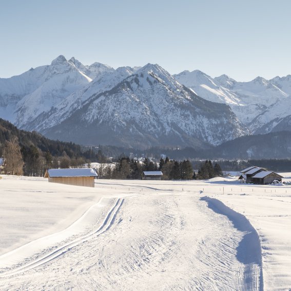 Langlaufen in den Dörfle