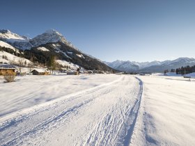 Langlaufloipe bei Reichenbach