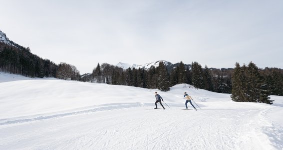 Langlaufen am Burgstall