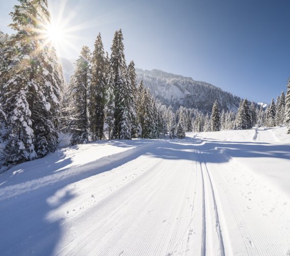 Langlaufloipe Rohrmoos