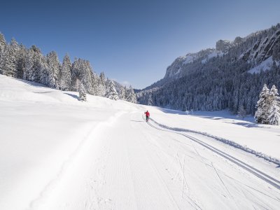 Langlaufen im Rohrmoos