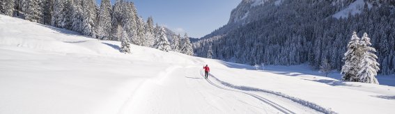 Langlaufen im Rohrmoos