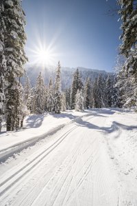 Winterwunderland im Rohrmoos