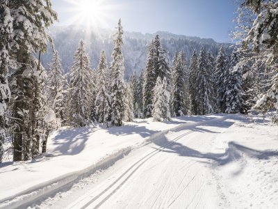 Winterwunderland im Rohrmoos