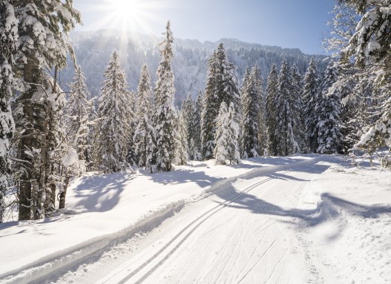 Winterwunderland im Rohrmoos