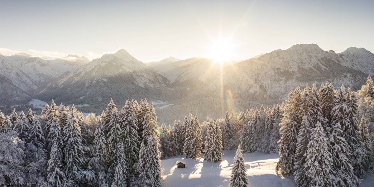 Sonnenuntergang über dem Tannenmeer